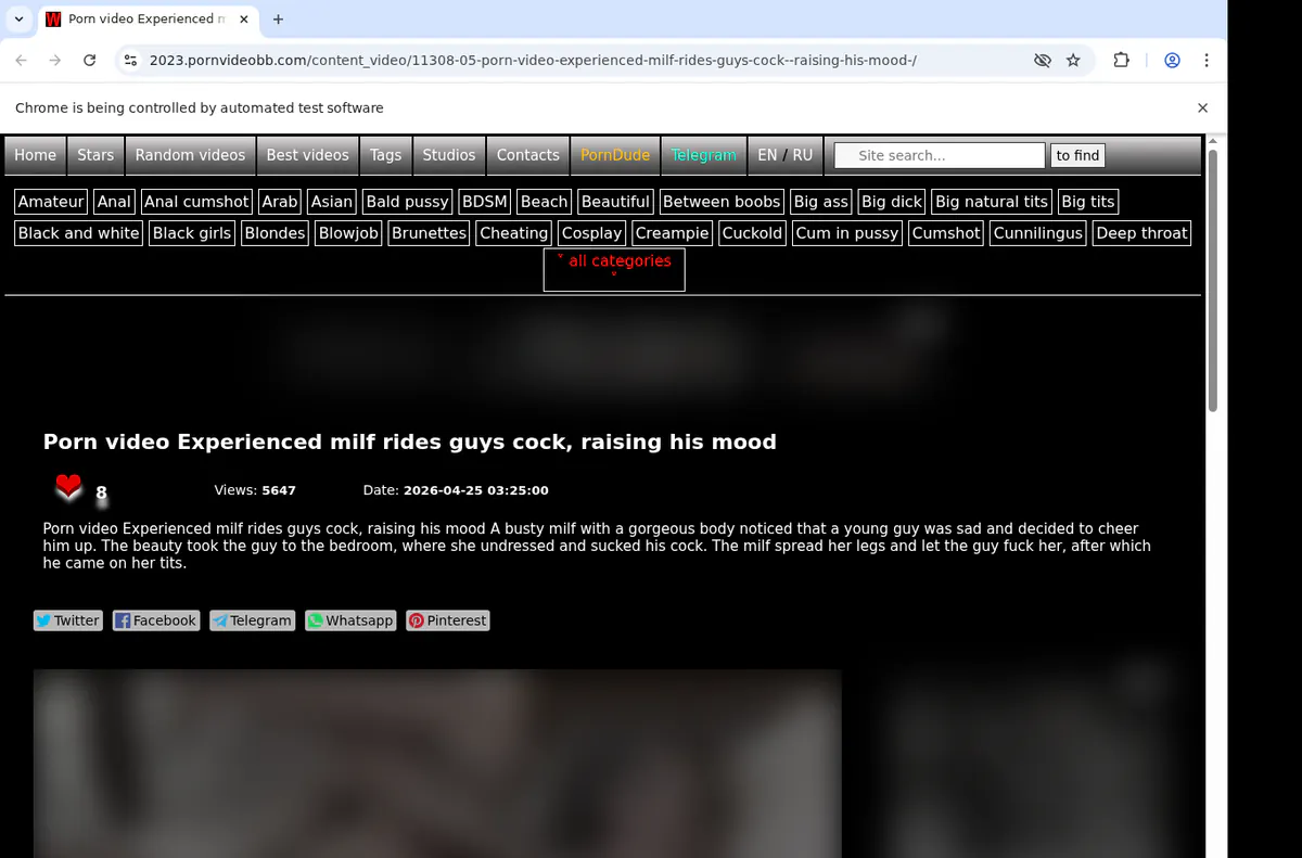 Pornvideobb Video Downloader browser extension screenshot 2