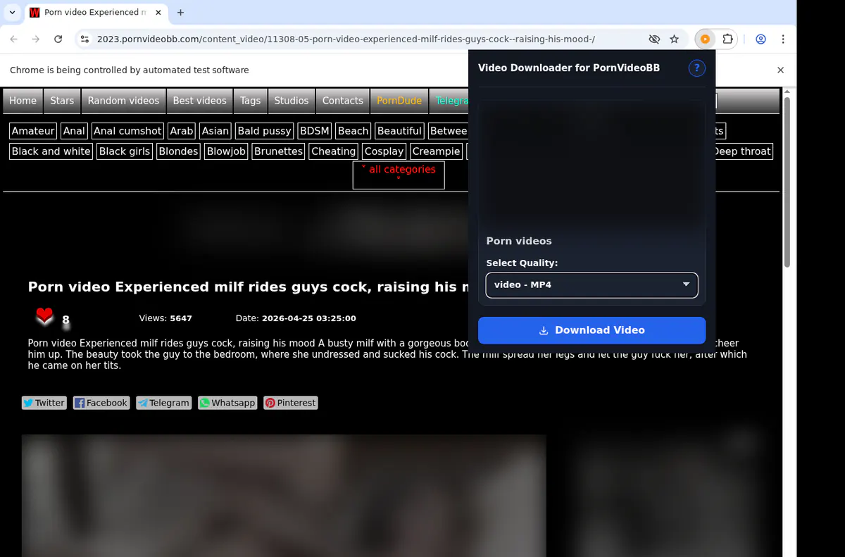 Pornvideobb Video Downloader browser extension screenshot 3