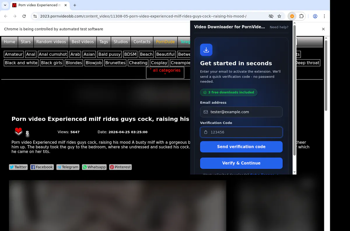 Pornvideobb Video Downloader browser extension screenshot 4