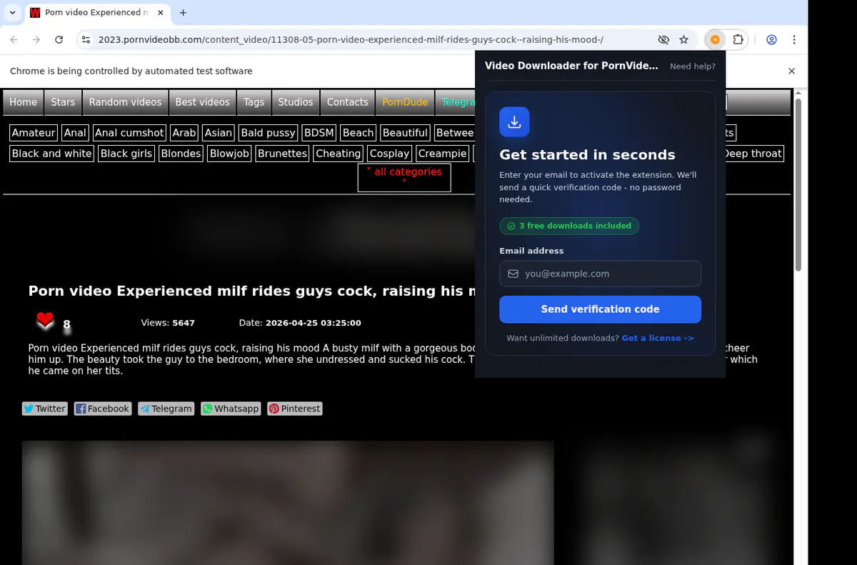 Pornvideobb Video Downloader browser extension screenshot 5
